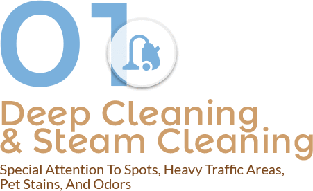 Deep Cleaning & Steam Cleaning