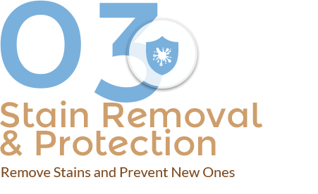 Stain Removal & Protection