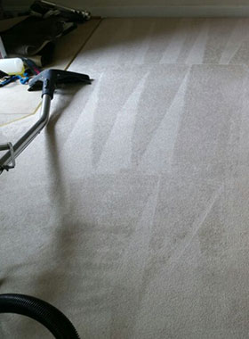 Carpet Cleaning